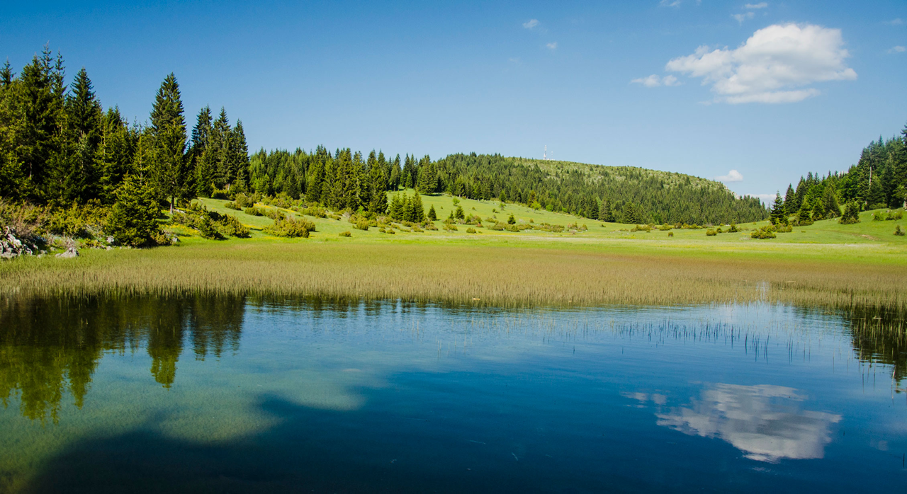 Turisticka Organizacija Rozaje